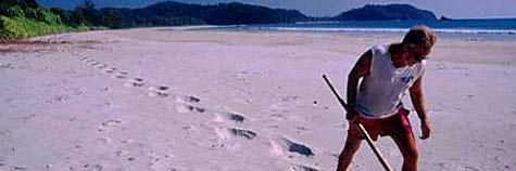 Collin Piprell banner