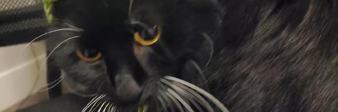 sellithyfr's profile banner image