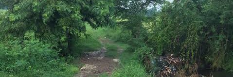 p_thaiban's profile banner image