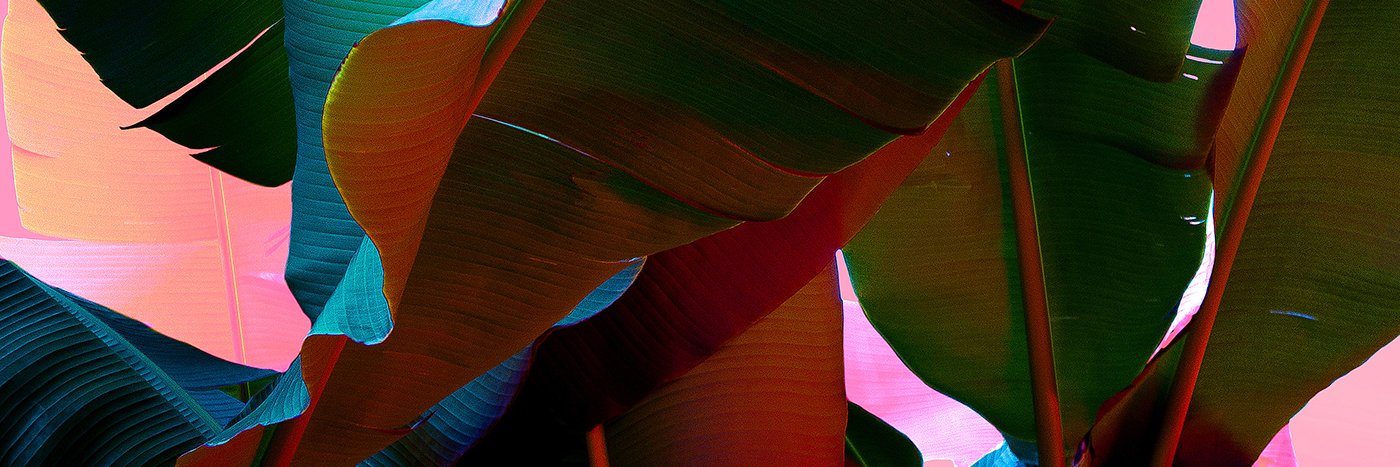 mafe_miserochi's profile banner image