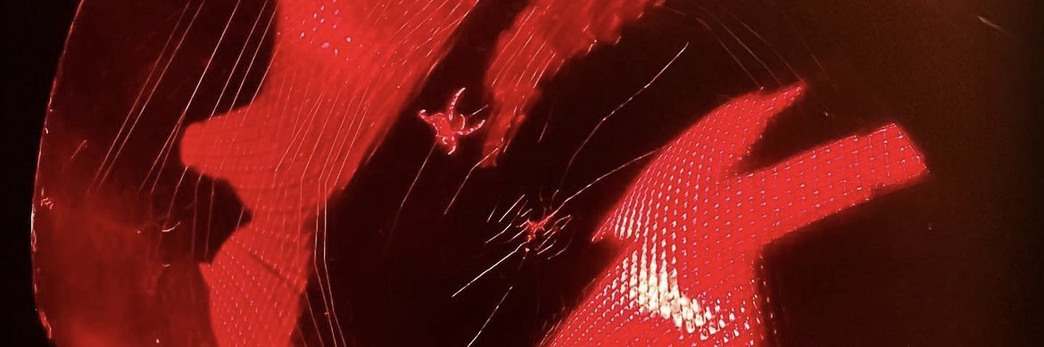 gdrcitizen's profile banner image