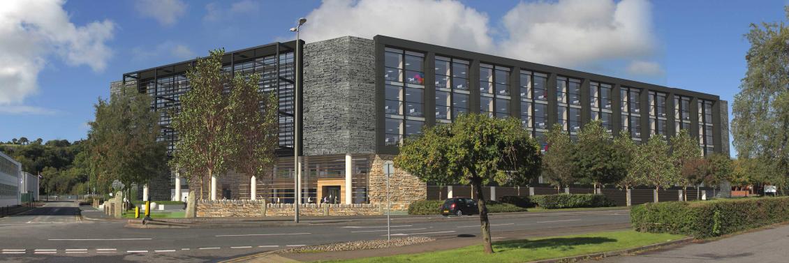 McCann and Partners banner