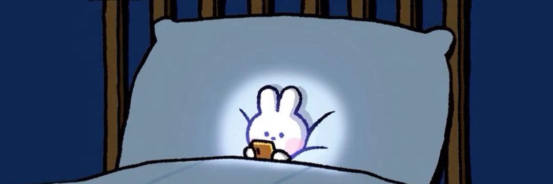 snoozerrrr's profile banner image