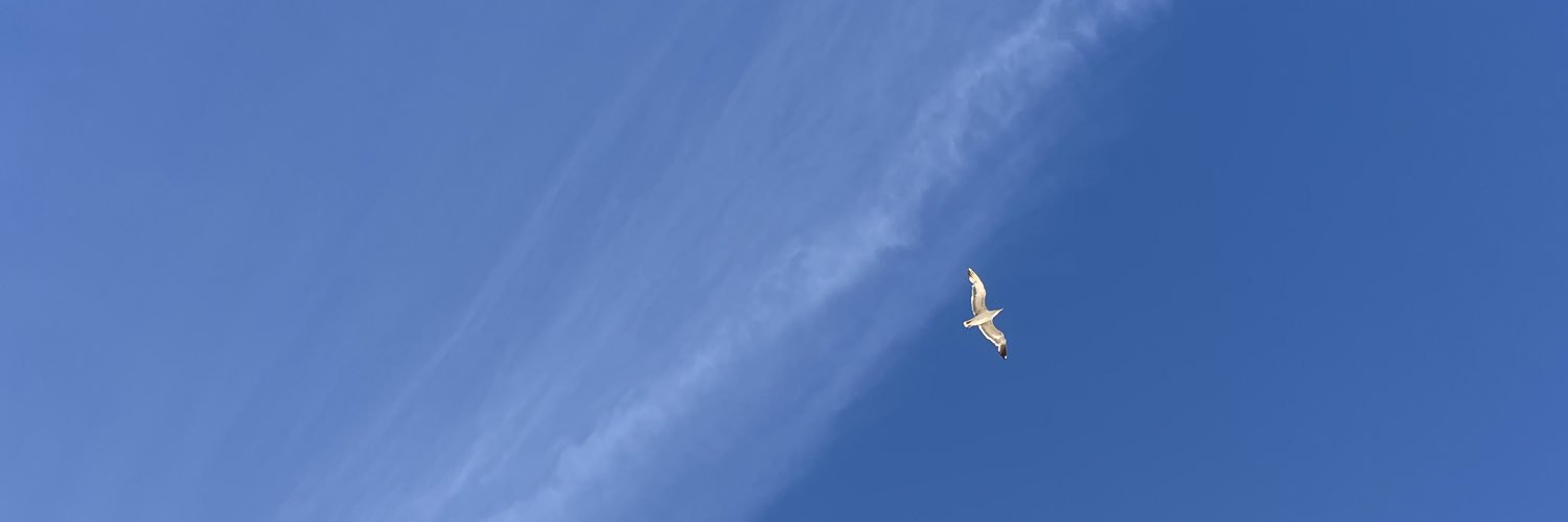 bea_simoes2's profile banner image