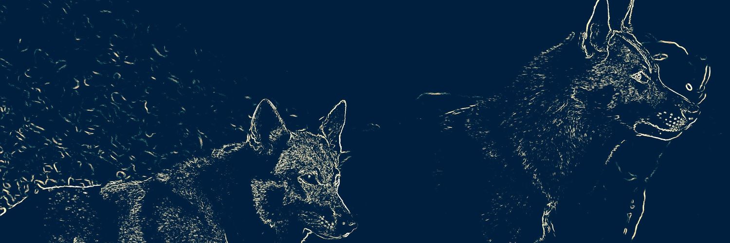 Kaxo45's profile banner image