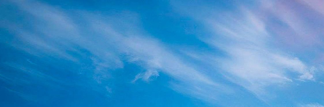 蘇弎 banner