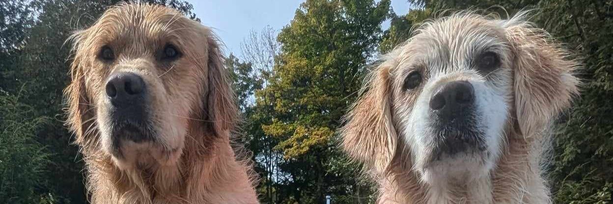Courtney, Gracie & Patrick 🇨🇦🍁❄️☃️ banner