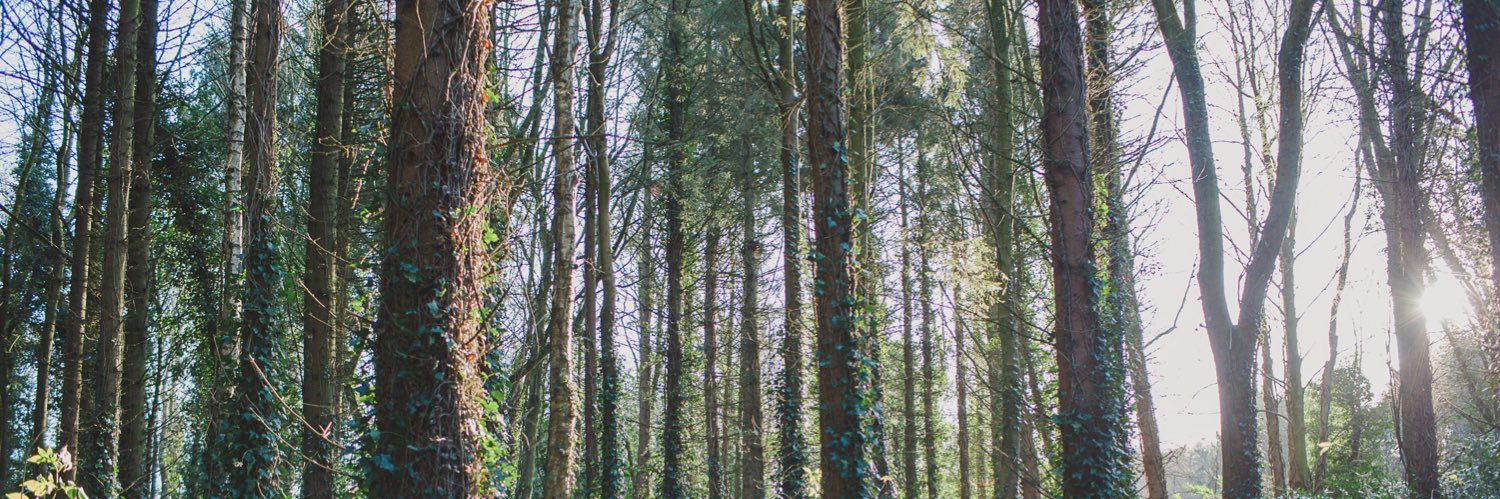 colm_kirwan's profile banner image
