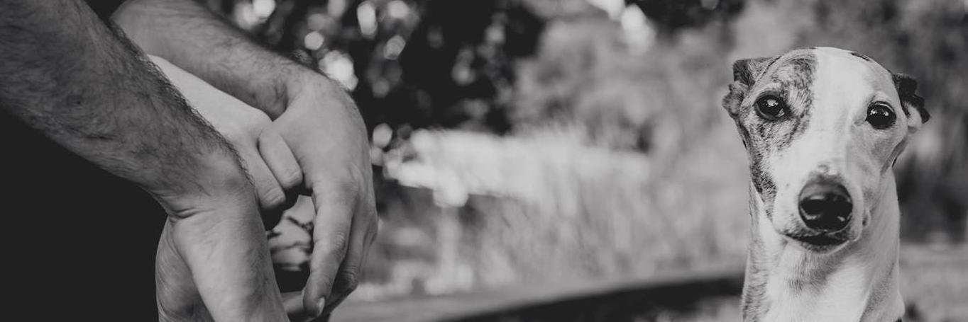 AlbertCamusfloj's profile banner image