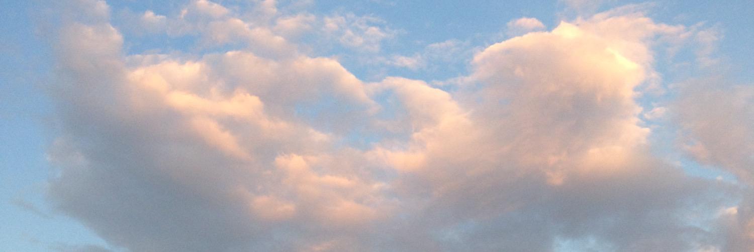 _LinaMarce's profile banner image