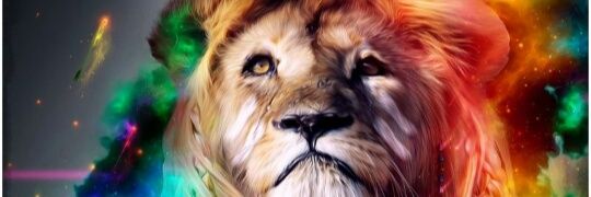 nicoadami's profile banner image