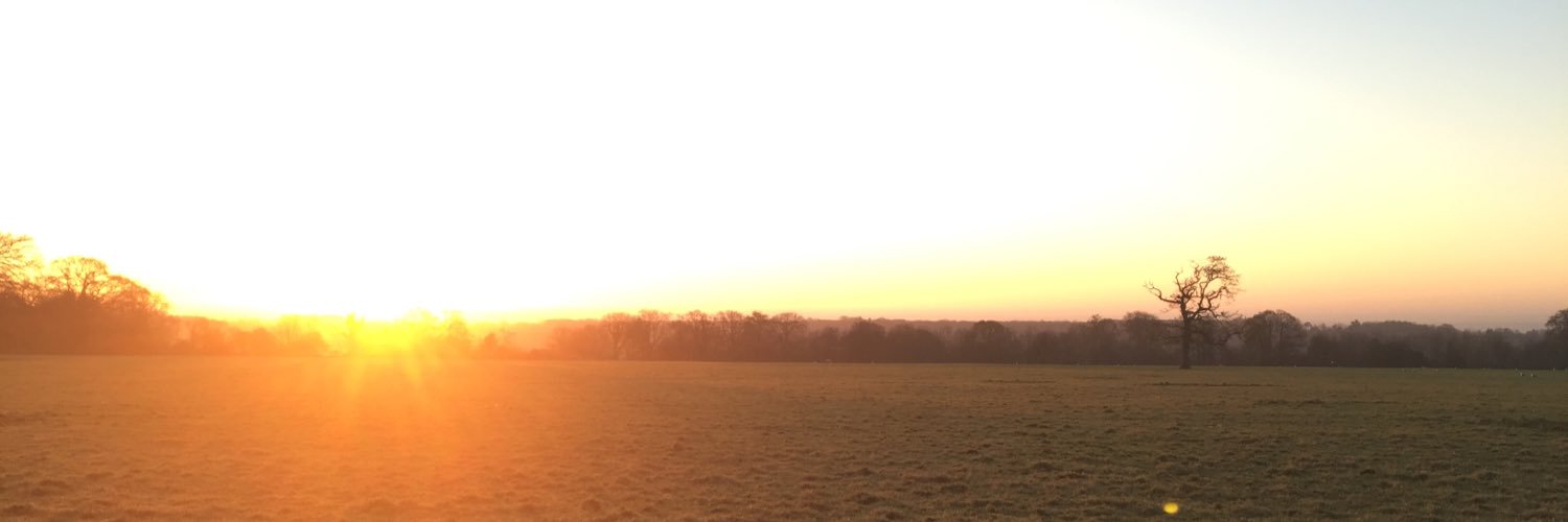 HenryFJourdan's profile banner image