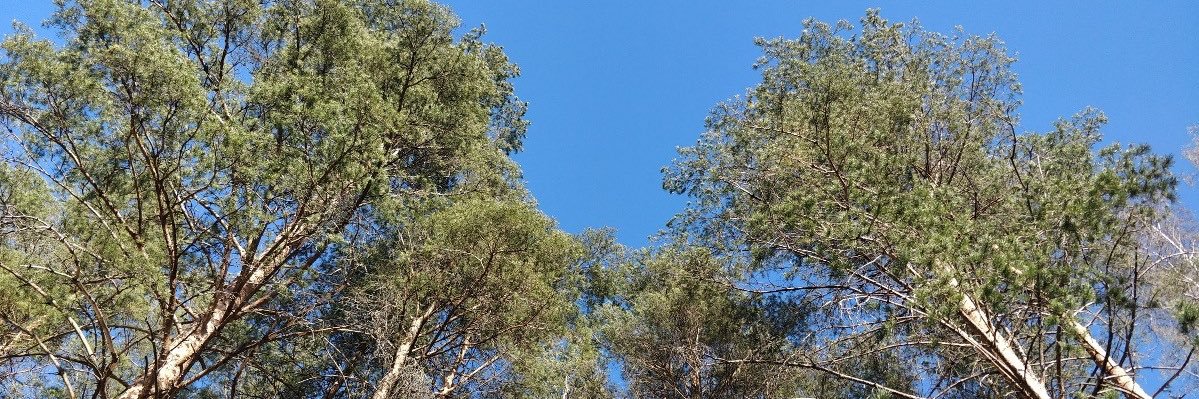Ari-Matti Husa banner