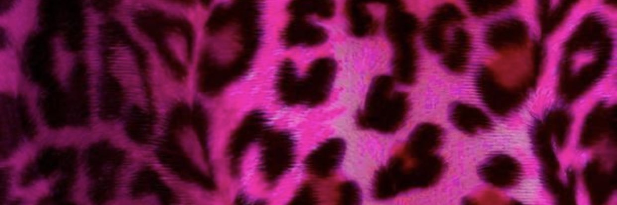 auntymina00's profile banner image