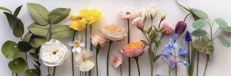 TendisCappie's profile banner image