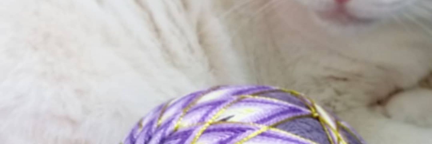 shingoaoi's profile banner image