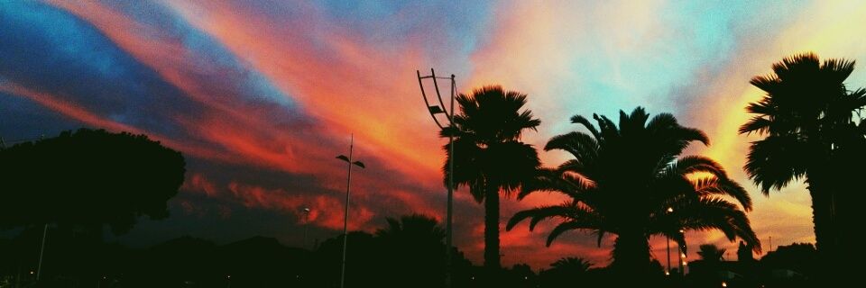 laiaagar's profile banner image