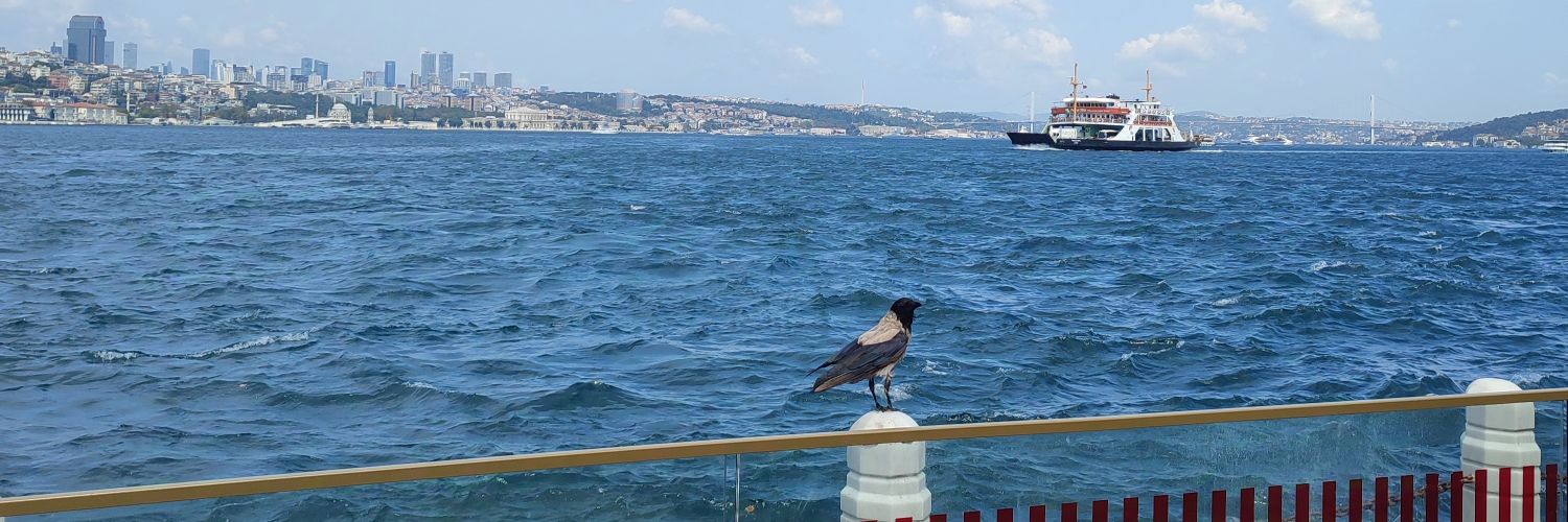 ebrudelen's profile banner image