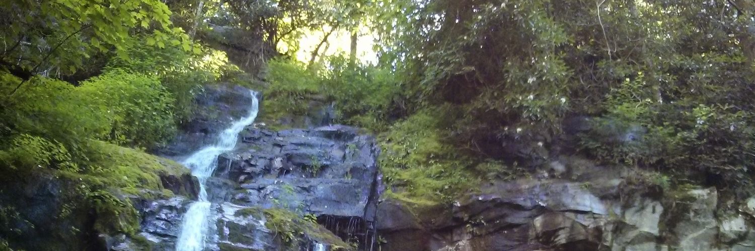 Misty Porter 💦 banner