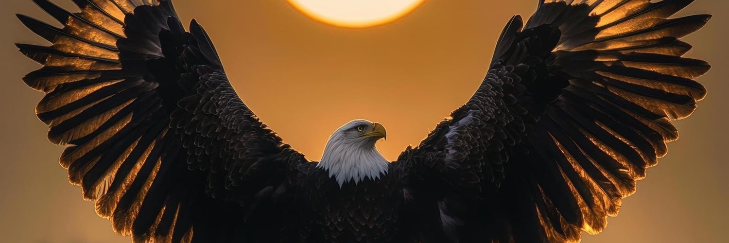 sbobtoya's profile banner image