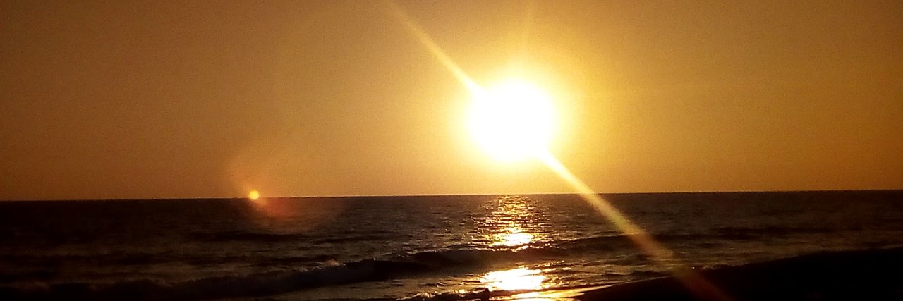 StaceZimmerman's profile banner image