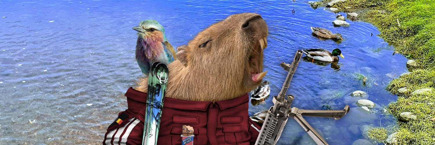 MelseleDude's profile banner image