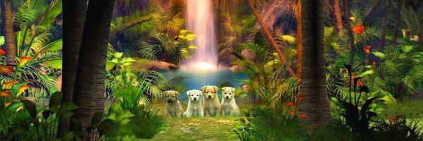 lauraonsale Profile Banner