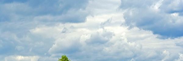 moon142003's profile banner image