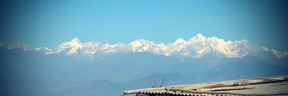 Maureen Charlton banner