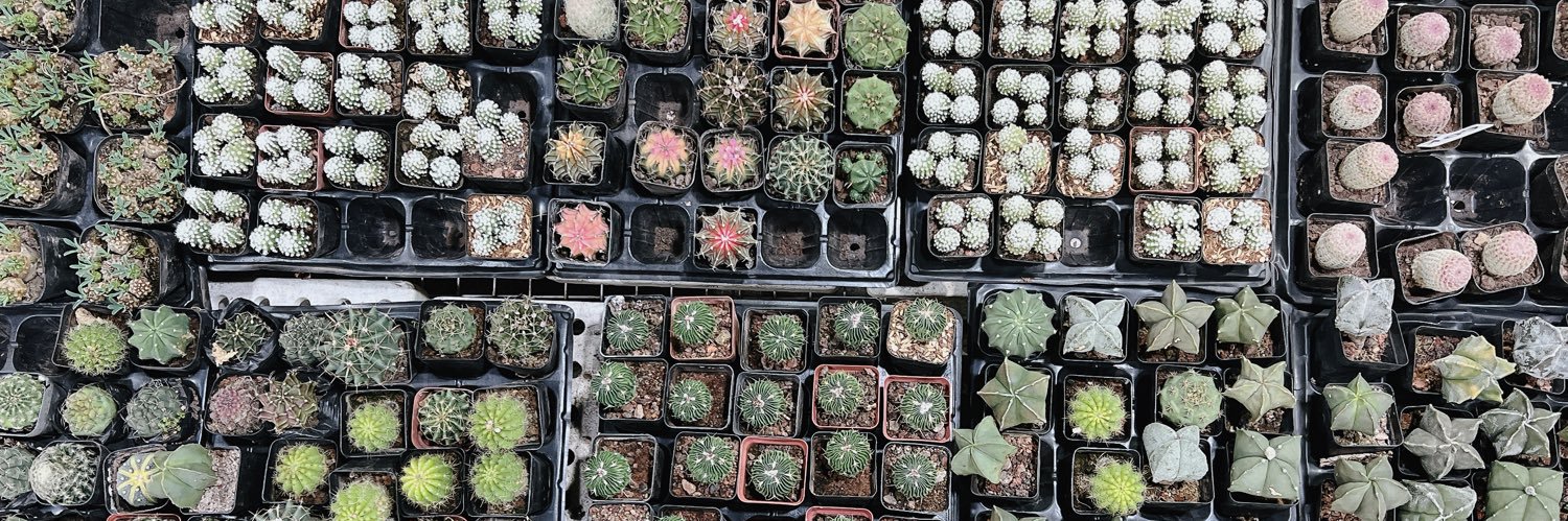 tigerstyle.apple banner