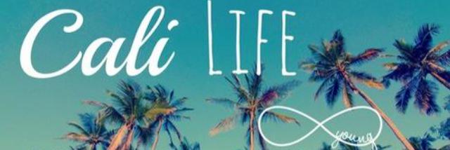 Alexandria Davis banner