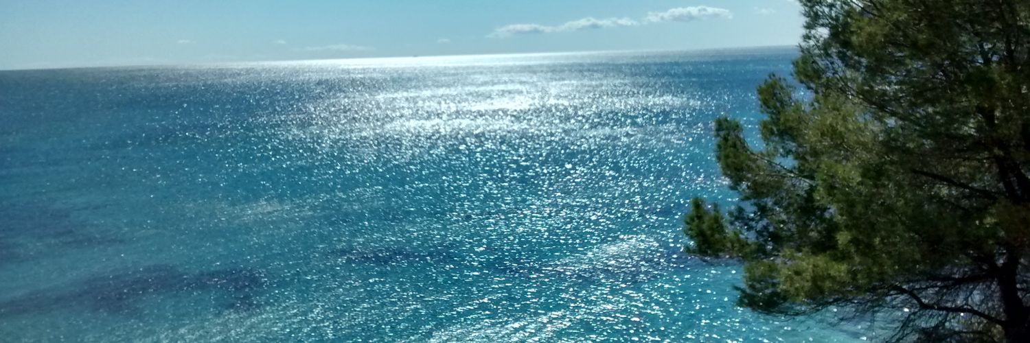 dolorsmonferrer's profile banner image