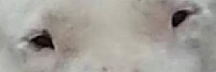salarmera's profile banner image