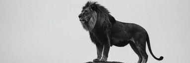 Onlyone_vic's profile banner image
