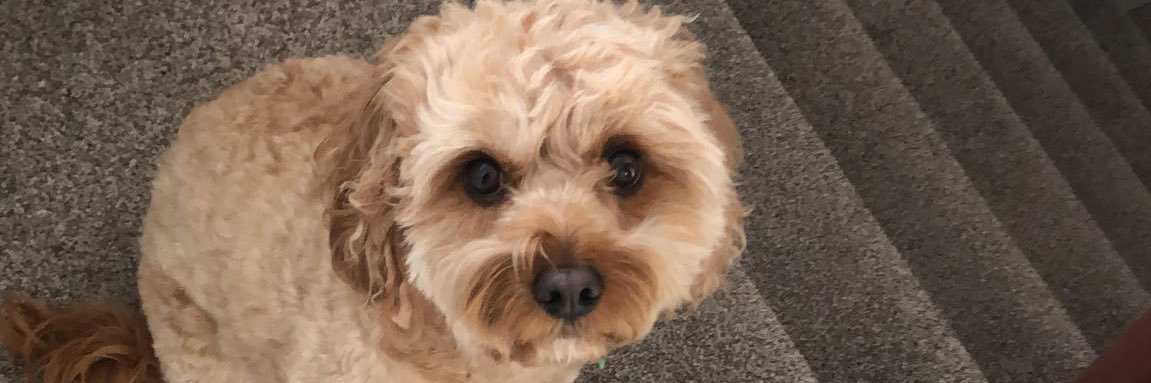 Luke J Bennett banner