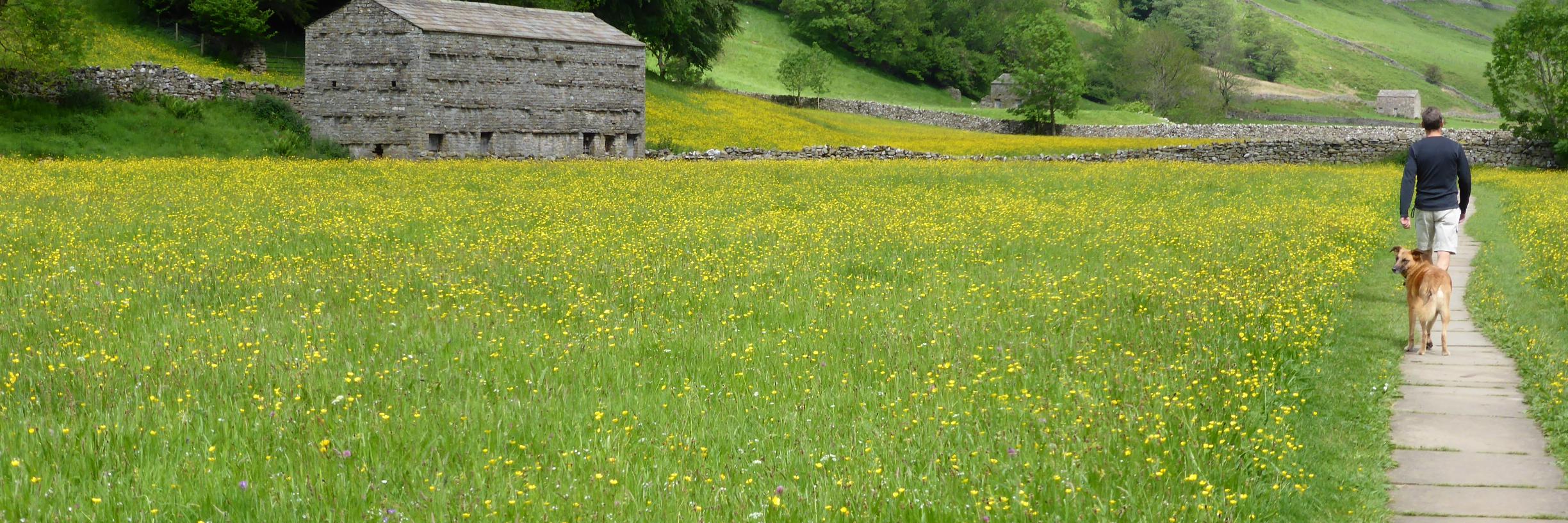 YorkshireLife's profile banner image