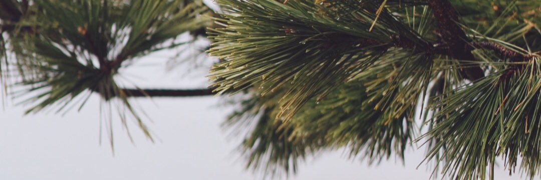 soazic28's profile banner image