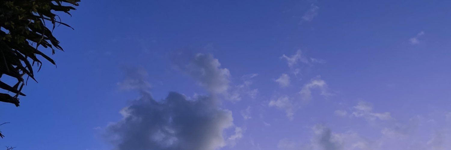 Al_welem's profile banner image