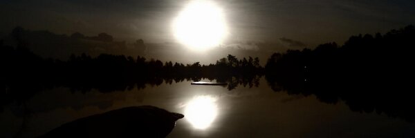 ErlingOddBerge1 Profile Banner