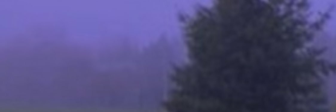 TreyNotGaming's profile banner image