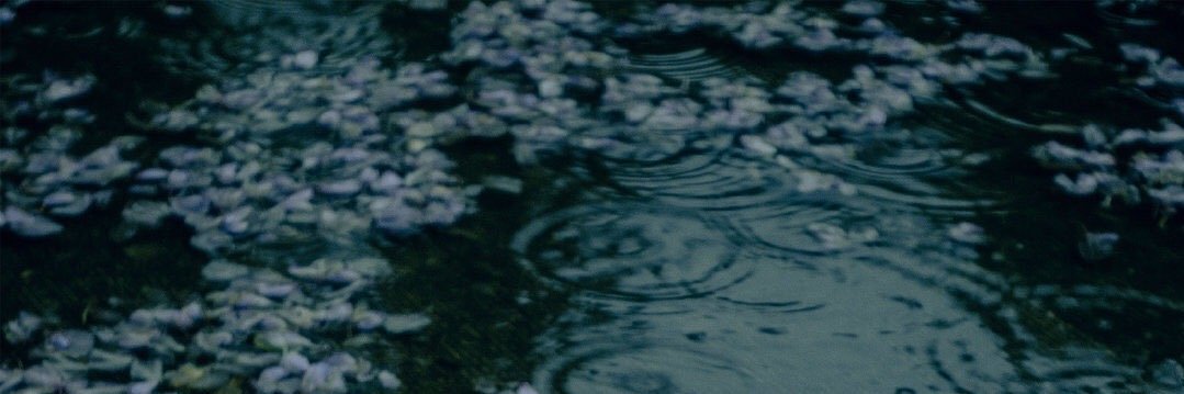 冰美式 banner