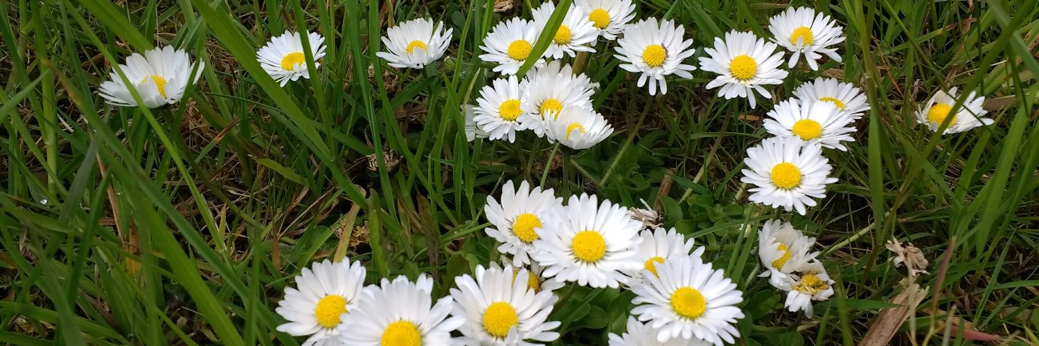 stefanhensel681's profile banner image