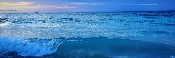 ChloePolitis Profile Banner