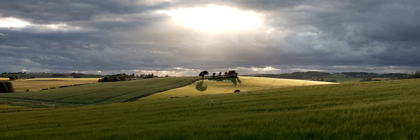 HighMossMusic's profile banner image