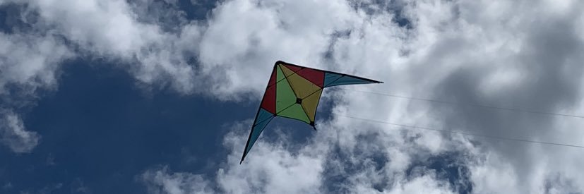 lisabrackers's profile banner image