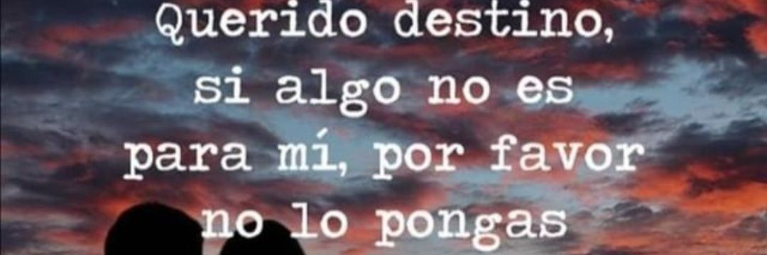 alternatorUsado's profile banner image