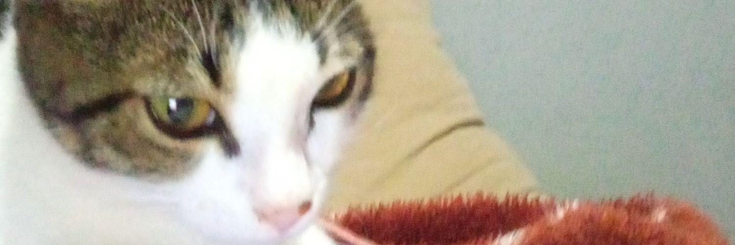 JustMashle's profile banner image