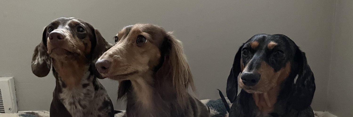 Space0ddity_'s profile banner image