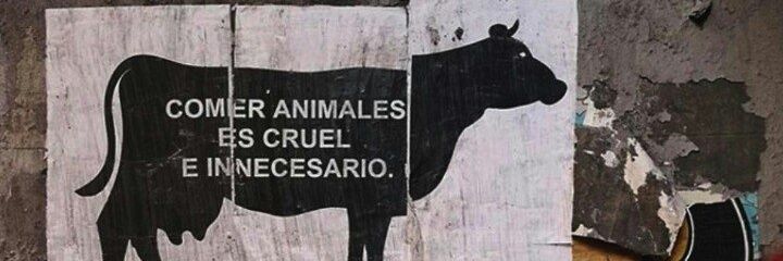 Isabel 🍂🌱🌧️🍉 banner