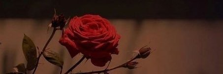 caramel_0722's profile banner image